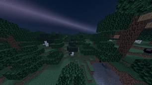 Overworld — Dark Forest