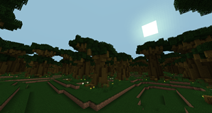Forest of Kashyyyk