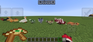 Screenshot 17