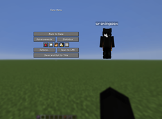 Pause Screen