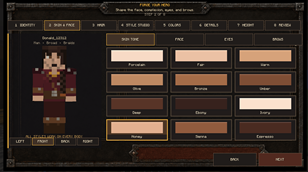Skin and face customization