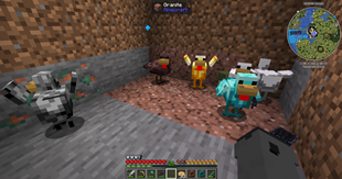 chickens texture
