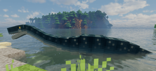 5.png