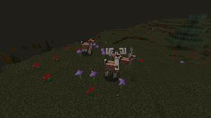Screenshot 2026-08-29 155557.png