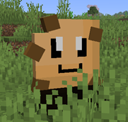 chipimage.png