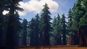 tree?