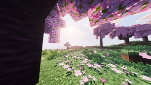 Screenshot 20