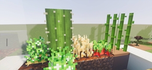 Screenshot 28