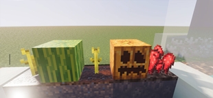 Screenshot 29