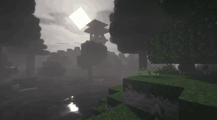 10_11zon.png
