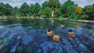 enviroment.jpg