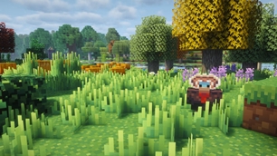 enviroment2.jpg