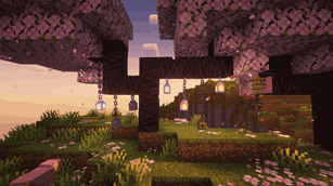 Hardcore Torches lanterns are compatible with FWA animations