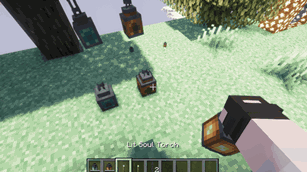 Hardcore Torches’ torches go out whilst in The Aether