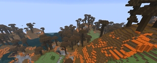 1000041030.jpg