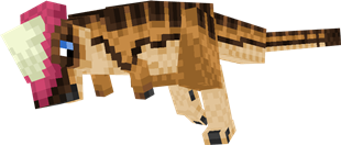 Argus The Pachycephalosaurus!