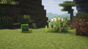 snaidl.png
