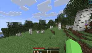 Preview in DonutSMP