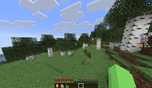 Preview in DonutSMP
