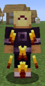 elytra