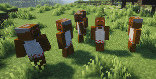 Clone Potion