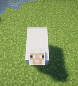 Sheep Potion
