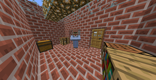 Village Banker