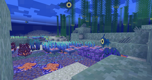 Safe Shallows and Kelp Forest