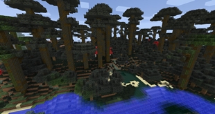 Ancient Forest