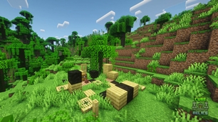 Burned bamboo hut