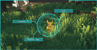 Image_4.png