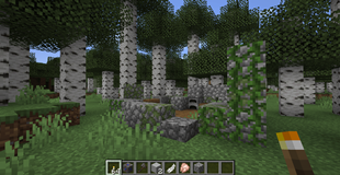 the old workshop.png