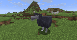 Dodo