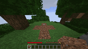 Placing Animations