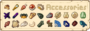description-echo-accessories.png