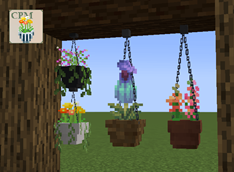 Hanging Pots