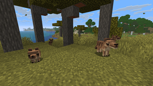 Thylacines