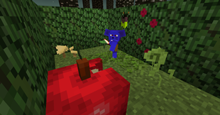 Kobold 2
