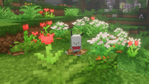 image-attachment_b22a754d-e3b6-4b5d-9f67-1ce947164756.png