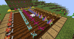 crops