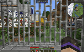 Jail Experience
