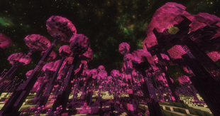 2026-09-01_21.33.24.png