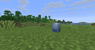 Dodo egg