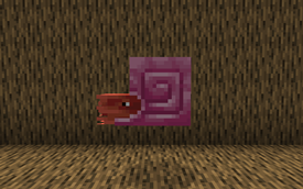 2026-09-02_00.11.19.png
