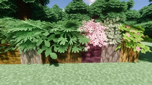 03.jpg