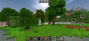 Screenshot 22