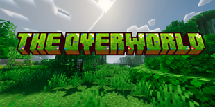 The Overworld Painting