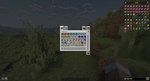Items 01.jpg