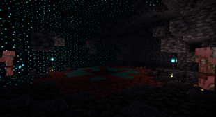 The room that leads to nether.