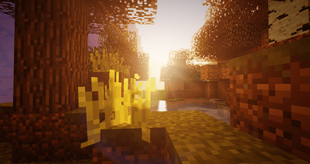 Sunlight
